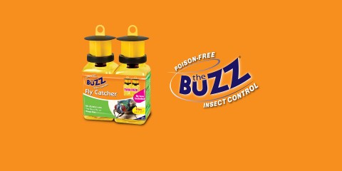 The Buzz Insect Control