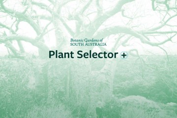 Botanic Gardens Plant Selector