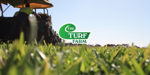 The Turf Farm
