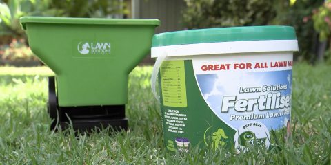 lawn-fertilizing